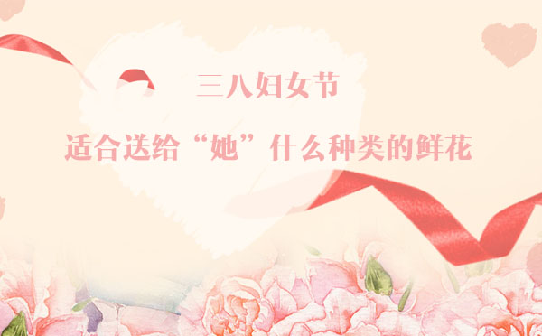 三八婦女節,適合送給“她”什么種類的鮮花? 三八婦女節,適合送給“她”什么種類的鮮花?