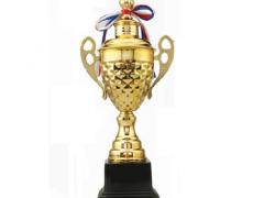 公司團建禮品_金屬獎杯定制